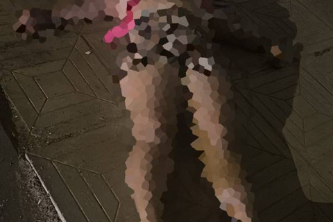 Mulher é assassinada a tiros no Bairro Dom Avelar